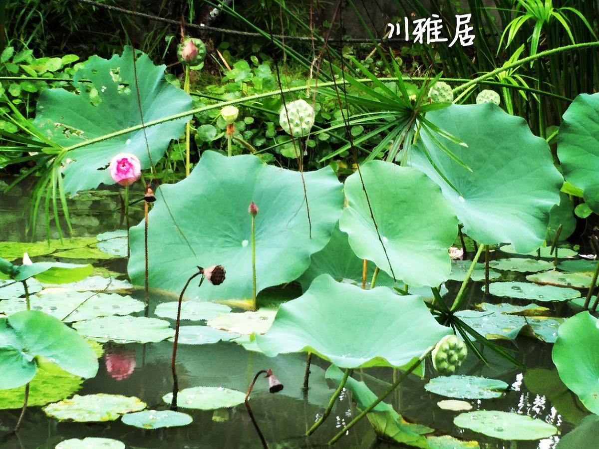 Chuan Ya Ju Homestay Qishan Eksteriør bilde